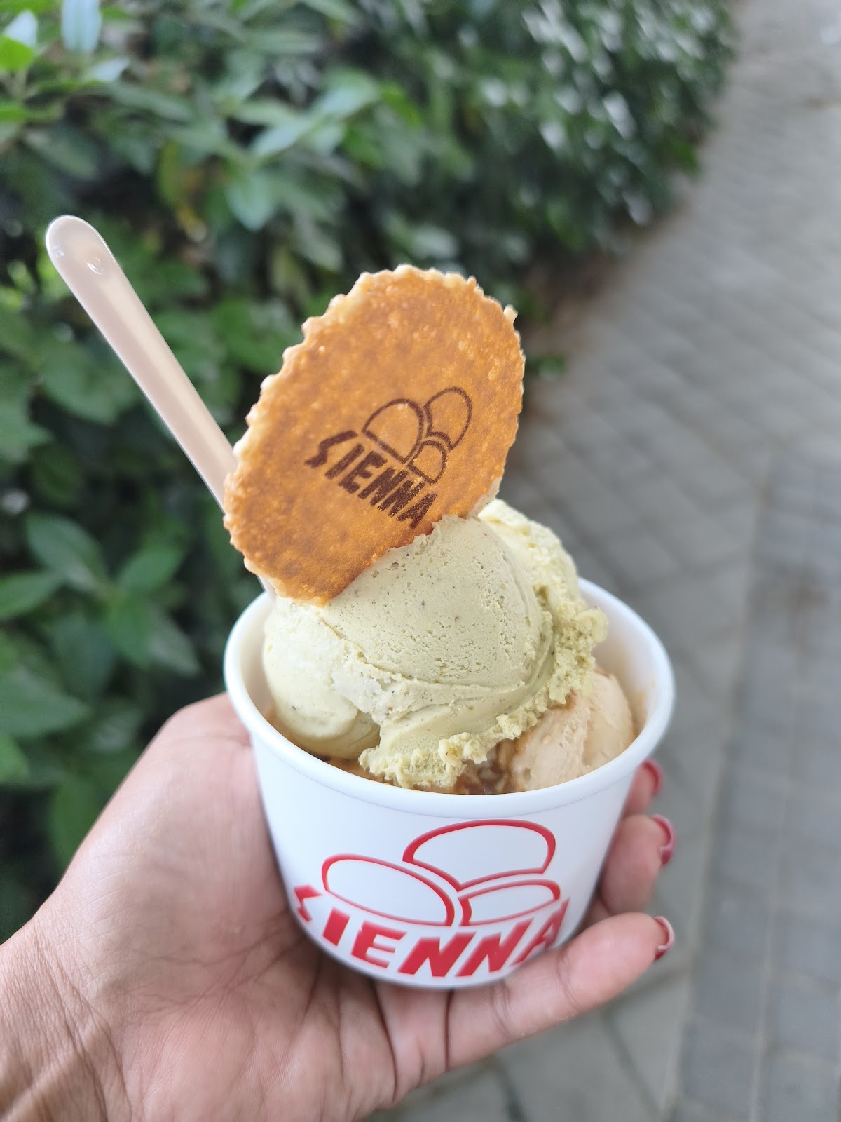 Helados Sienna — detalle