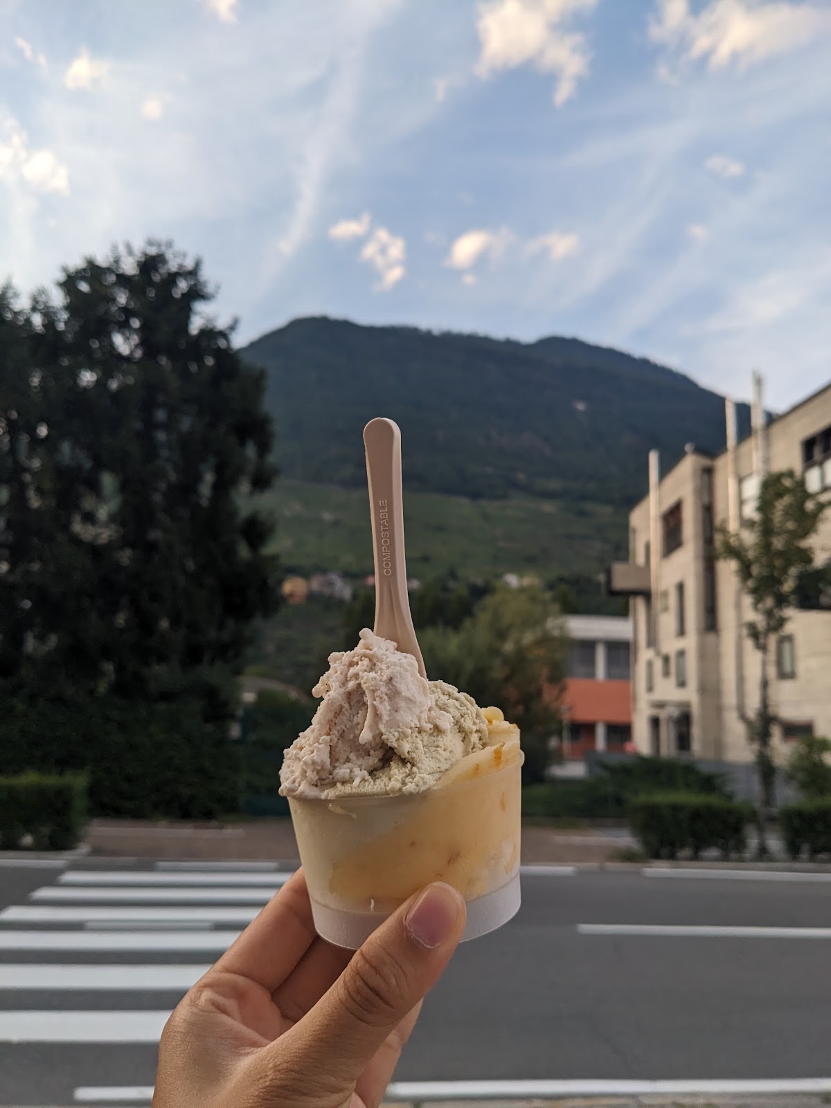 Il gelato della casa.