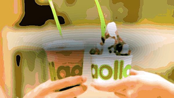 llaollao