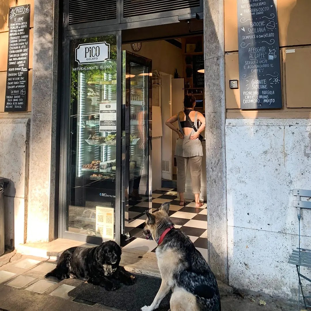 Il banco e la vetrina dei gusti.