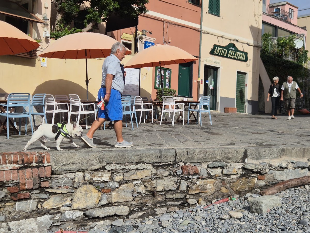 Un dettaglio del banco.
