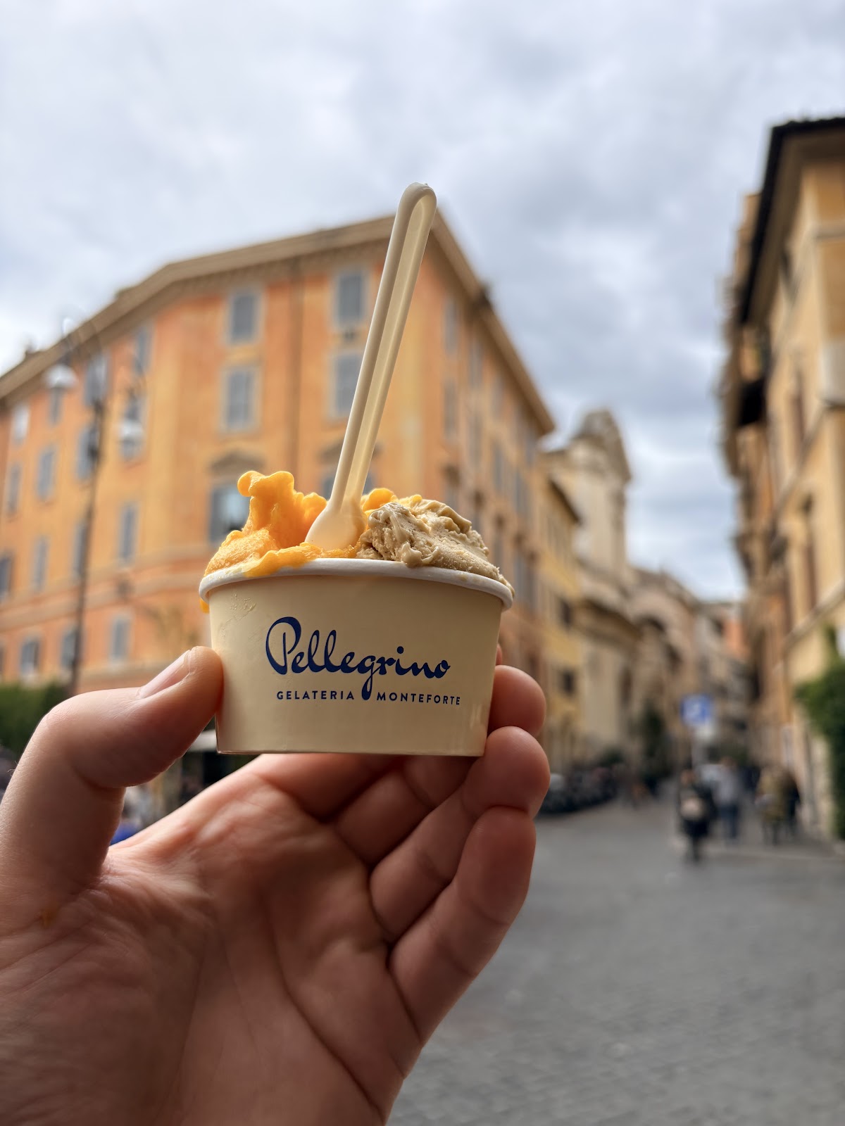 Il gelato servito.