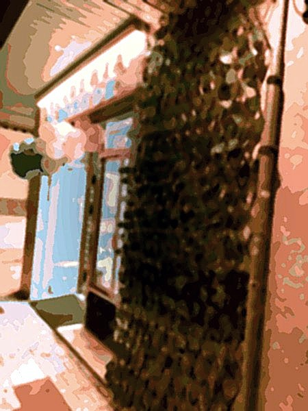 Heladería el duende (Málaga · Calle Granada 55) — Málaga
