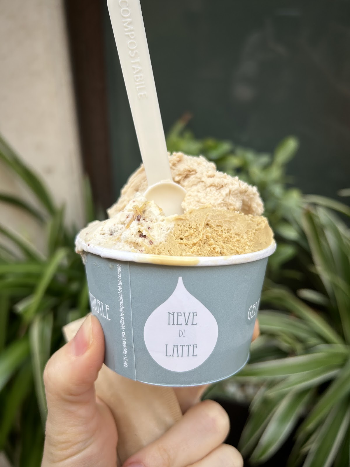 Il gelato della casa.