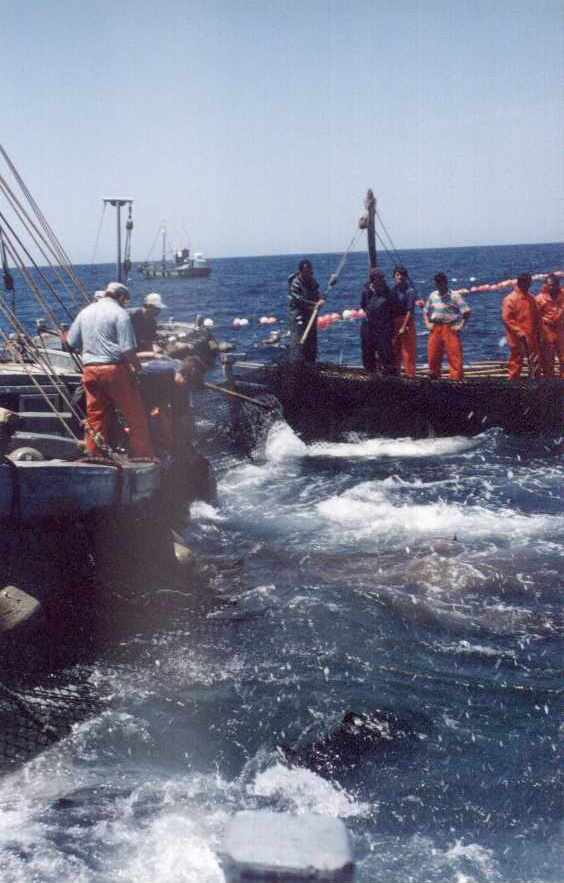 Foto turística de Barbate